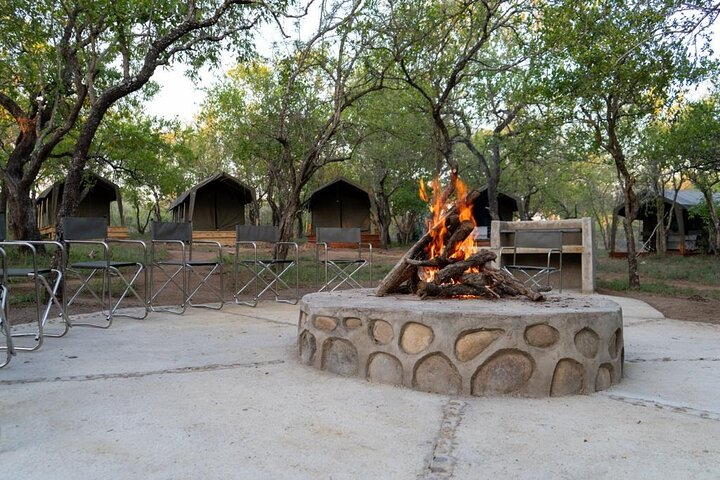 3 Day Kruger Glamping Budget Adventure - Photo 1 of 6